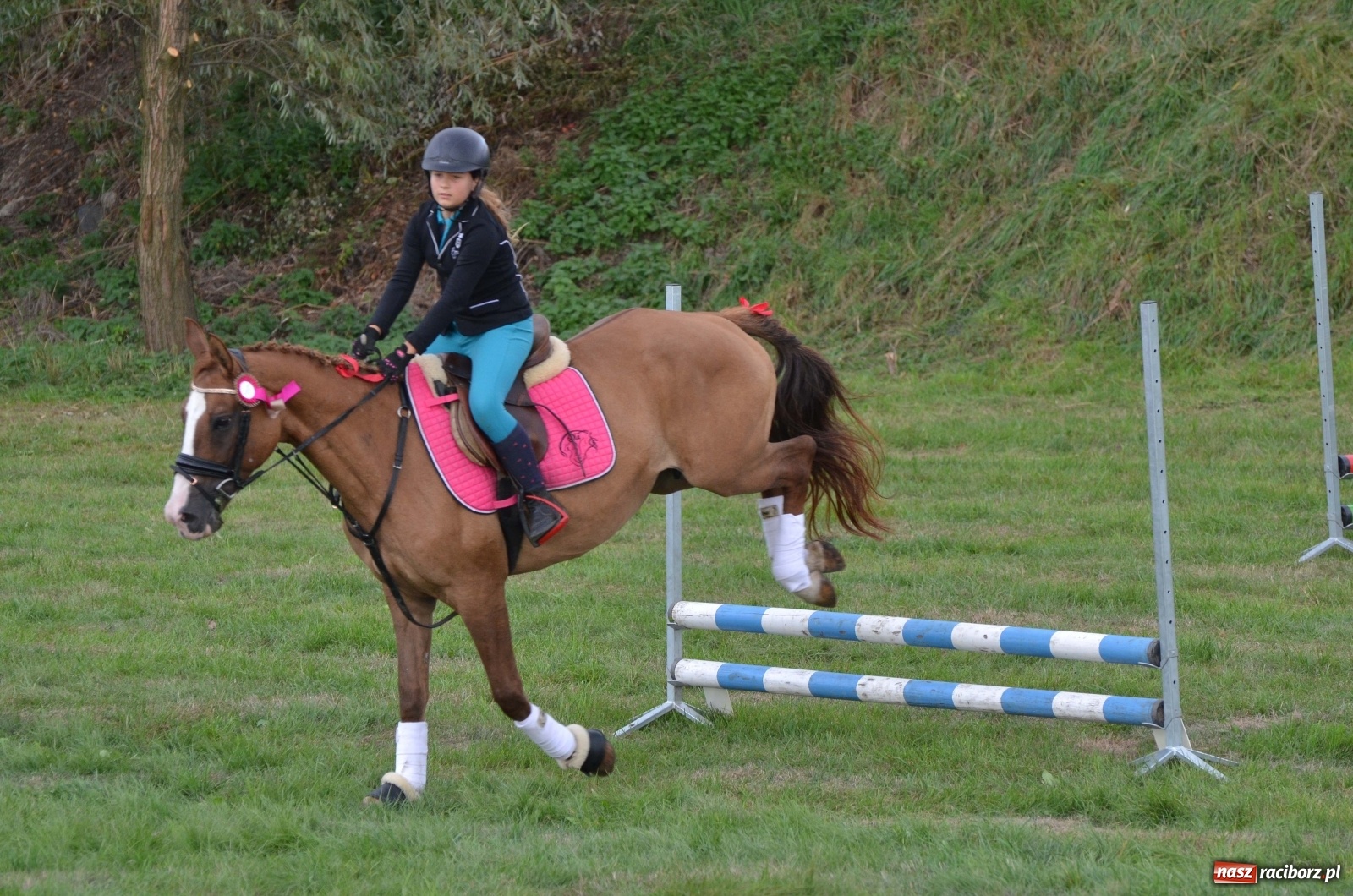 Zdjęcie w galerii na portalu naszraciborz.pl: Raciborski Hubertus 2019 [FOTO i WIDEO] wiadomości z regionu