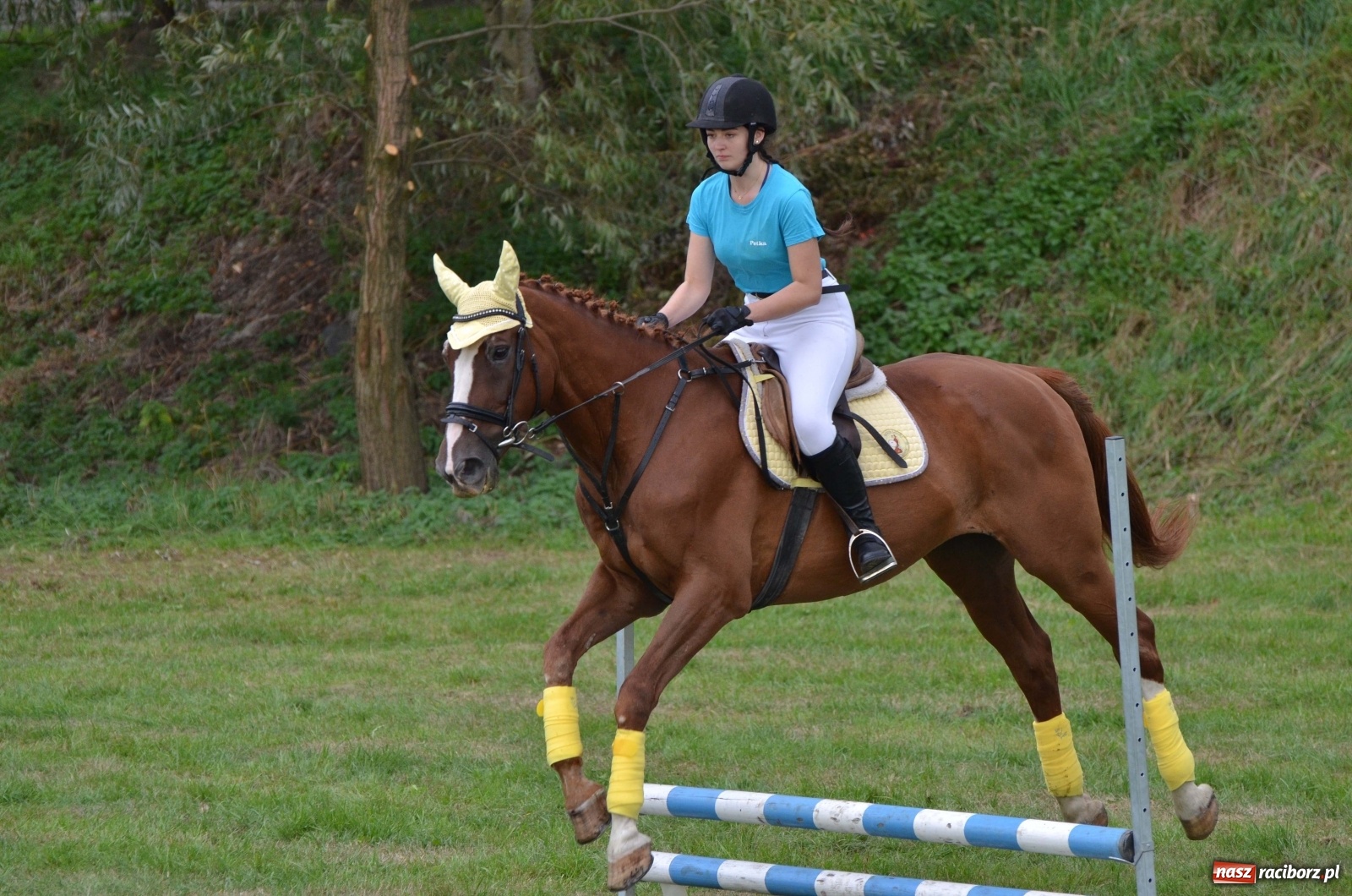 Zdjęcie w galerii na portalu naszraciborz.pl: Raciborski Hubertus 2019 [FOTO i WIDEO] wiadomości z regionu