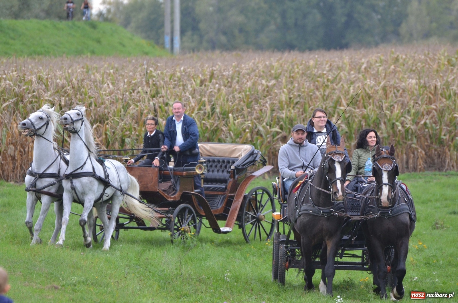 Zdjęcie w galerii na portalu naszraciborz.pl: Raciborski Hubertus 2019 [FOTO i WIDEO] wiadomości z regionu