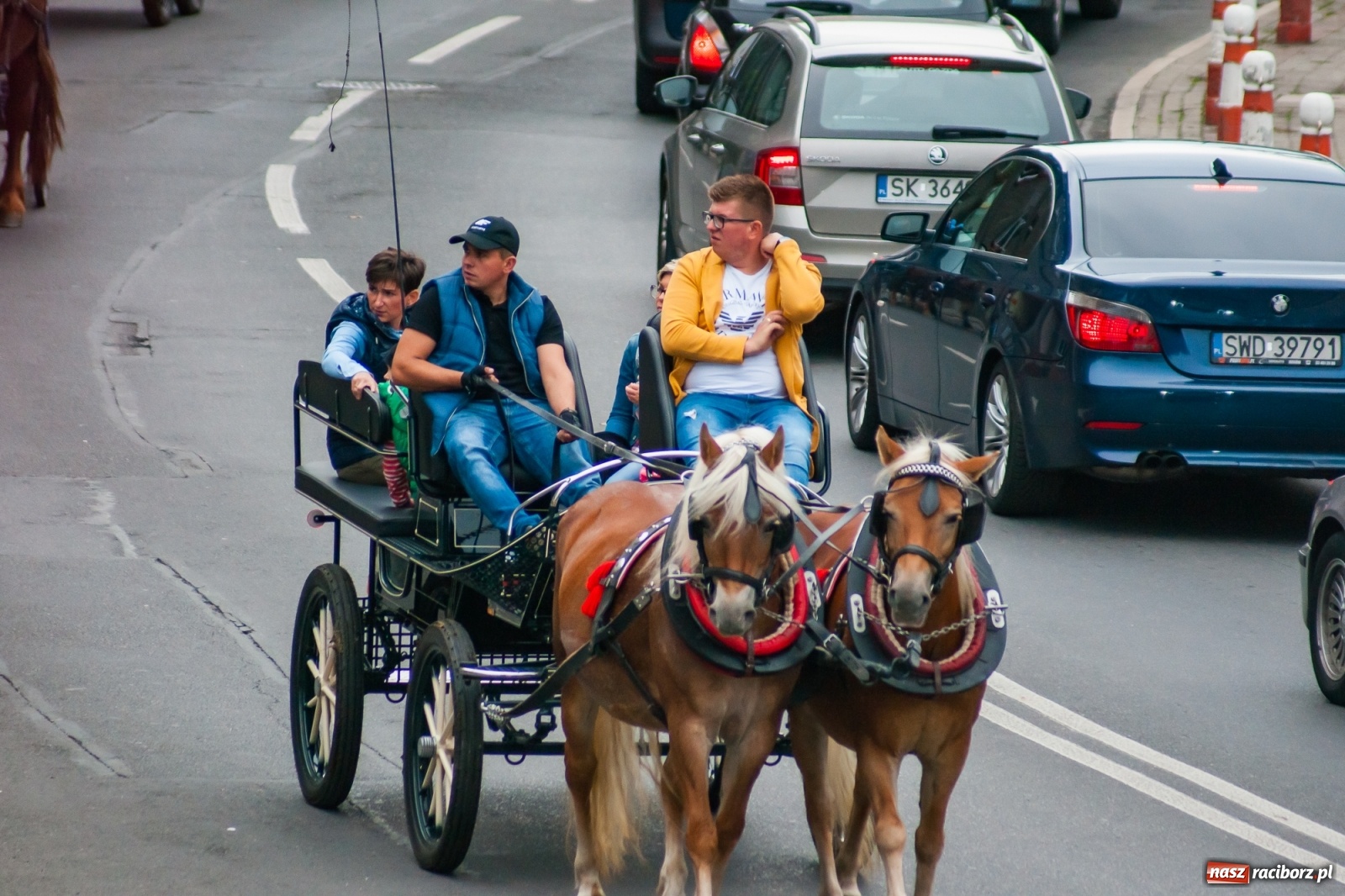 Zdjęcie w galerii na portalu naszraciborz.pl: Raciborski Hubertus 2019 [FOTO i WIDEO] wiadomości z regionu