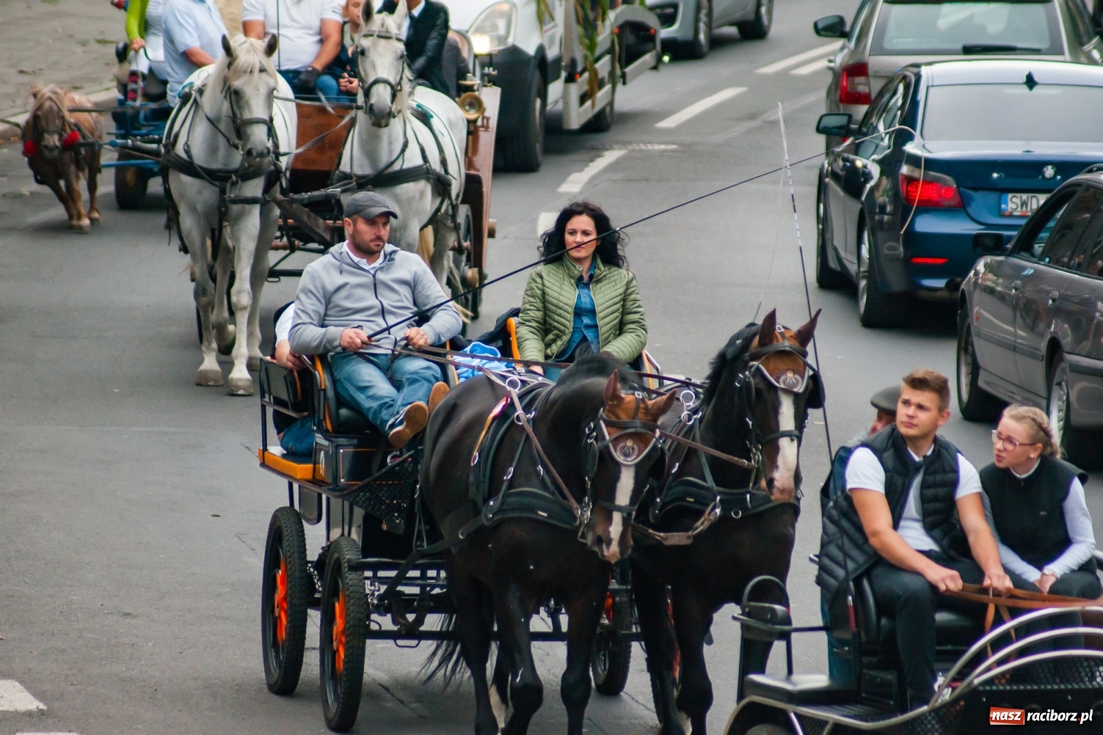 Zdjęcie w galerii na portalu naszraciborz.pl: Raciborski Hubertus 2019 [FOTO i WIDEO] wiadomości z regionu