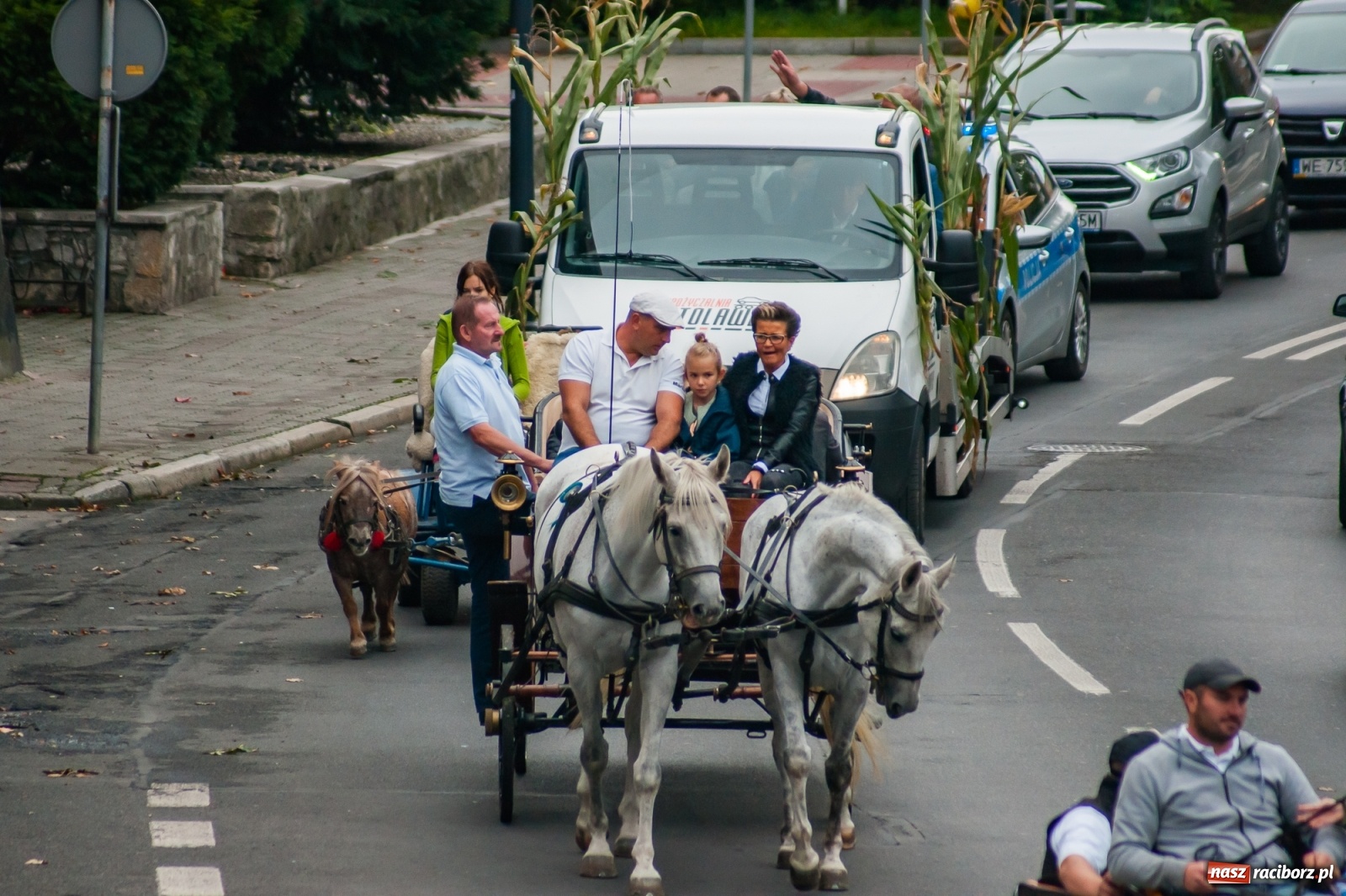 Zdjęcie w galerii na portalu naszraciborz.pl: Raciborski Hubertus 2019 [FOTO i WIDEO] wiadomości z regionu