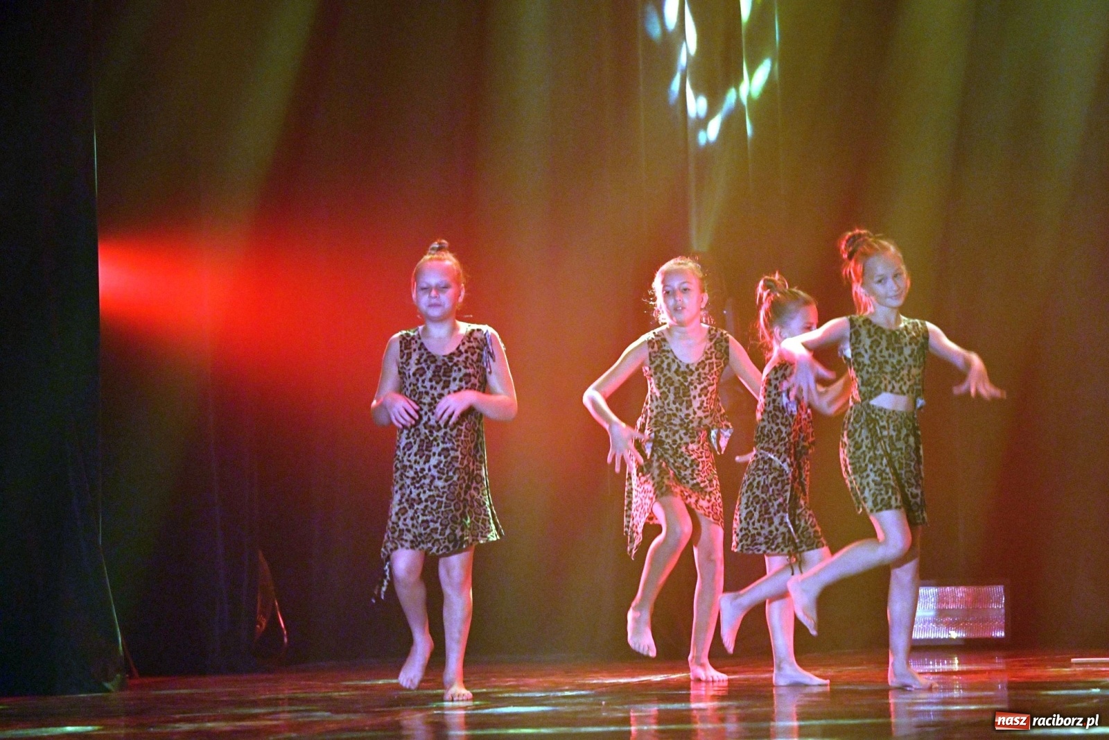 Zdjęcie w galerii na portalu naszraciborz.pl: Gala Skazy na bis [FOTO]  wiadomości z regionu