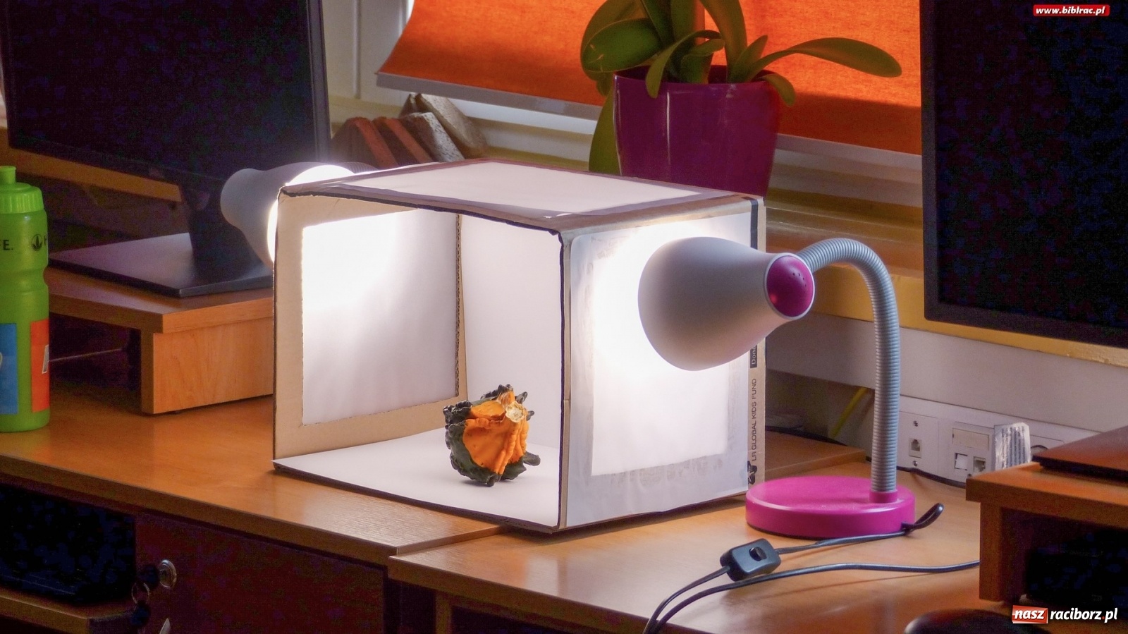 Zdjęcie w galerii na portalu naszraciborz.pl: W Ocicach poznali tajniki fotografii wiadomości z regionu