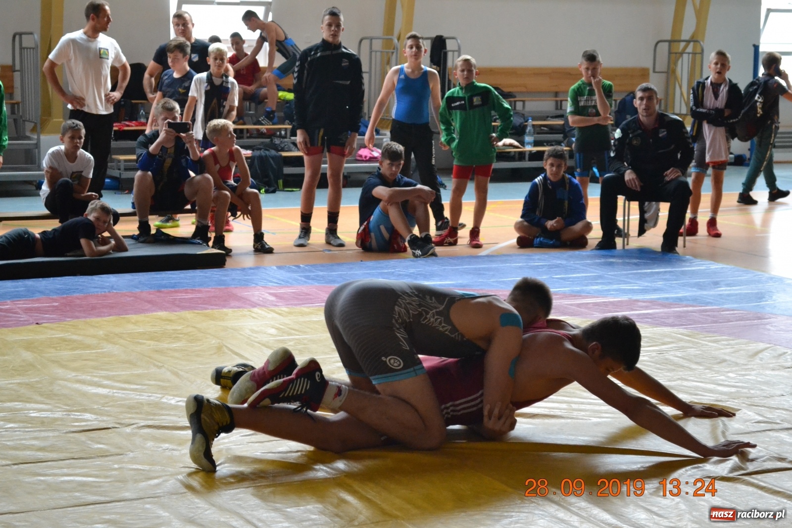 Zdjęcie w galerii na portalu naszraciborz.pl: Zapaśnicy Unii Racibórz bezkonkurencyjni  wiadomości z regionu