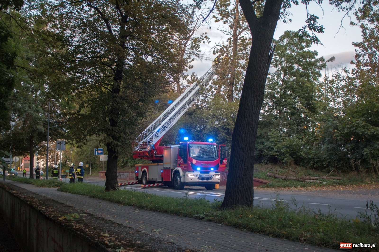 Zdjęcie w galerii na portalu naszraciborz.pl: Wichura powaliła drzewa w Raciborzu [FOTO] wiadomości z regionu