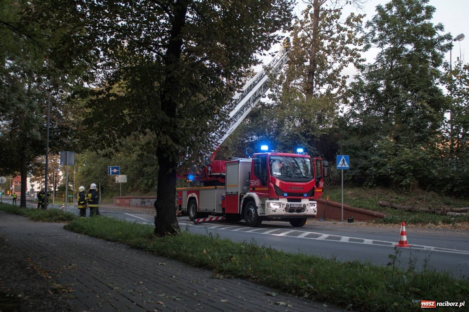 Zdjęcie w galerii na portalu naszraciborz.pl: Wichura powaliła drzewa w Raciborzu [FOTO] wiadomości z regionu