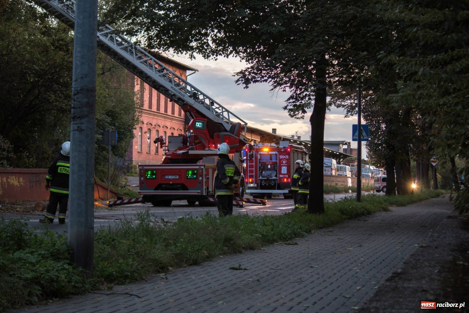 Zdjęcie w galerii na portalu naszraciborz.pl: Wichura powaliła drzewa w Raciborzu [FOTO] wiadomości z regionu