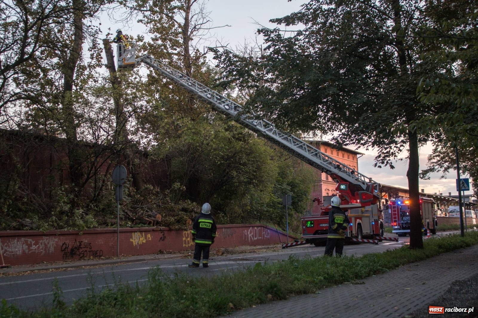 Zdjęcie w galerii na portalu naszraciborz.pl: Wichura powaliła drzewa w Raciborzu [FOTO] wiadomości z regionu