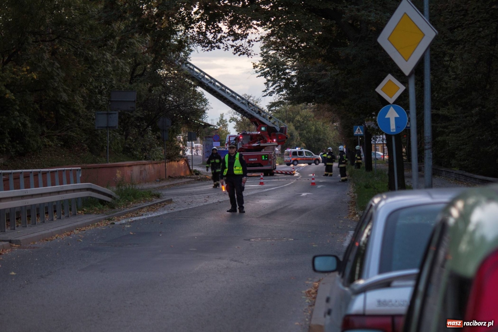 Zdjęcie w galerii na portalu naszraciborz.pl: Wichura powaliła drzewa w Raciborzu [FOTO] wiadomości z regionu