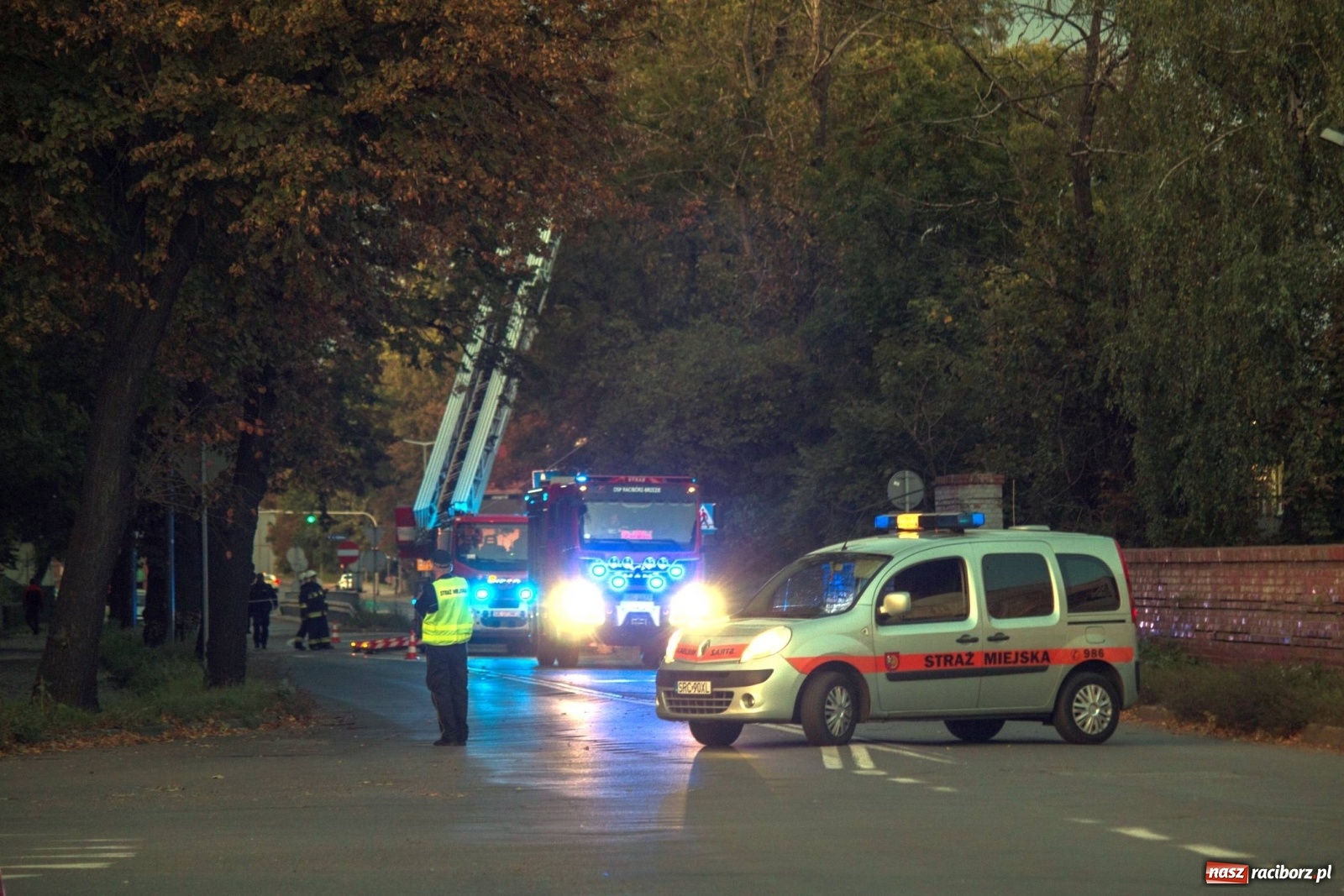 Zdjęcie w galerii na portalu naszraciborz.pl: Wichura powaliła drzewa w Raciborzu [FOTO] wiadomości z regionu