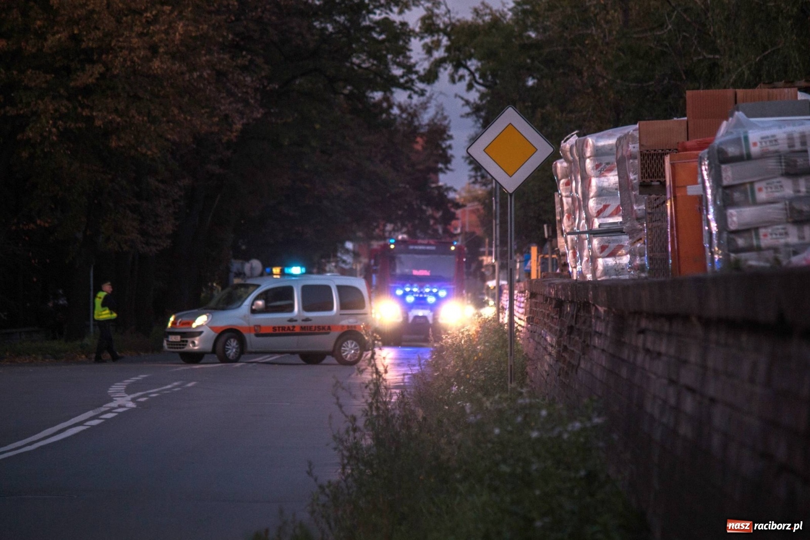 Zdjęcie w galerii na portalu naszraciborz.pl: Wichura powaliła drzewa w Raciborzu [FOTO] wiadomości z regionu