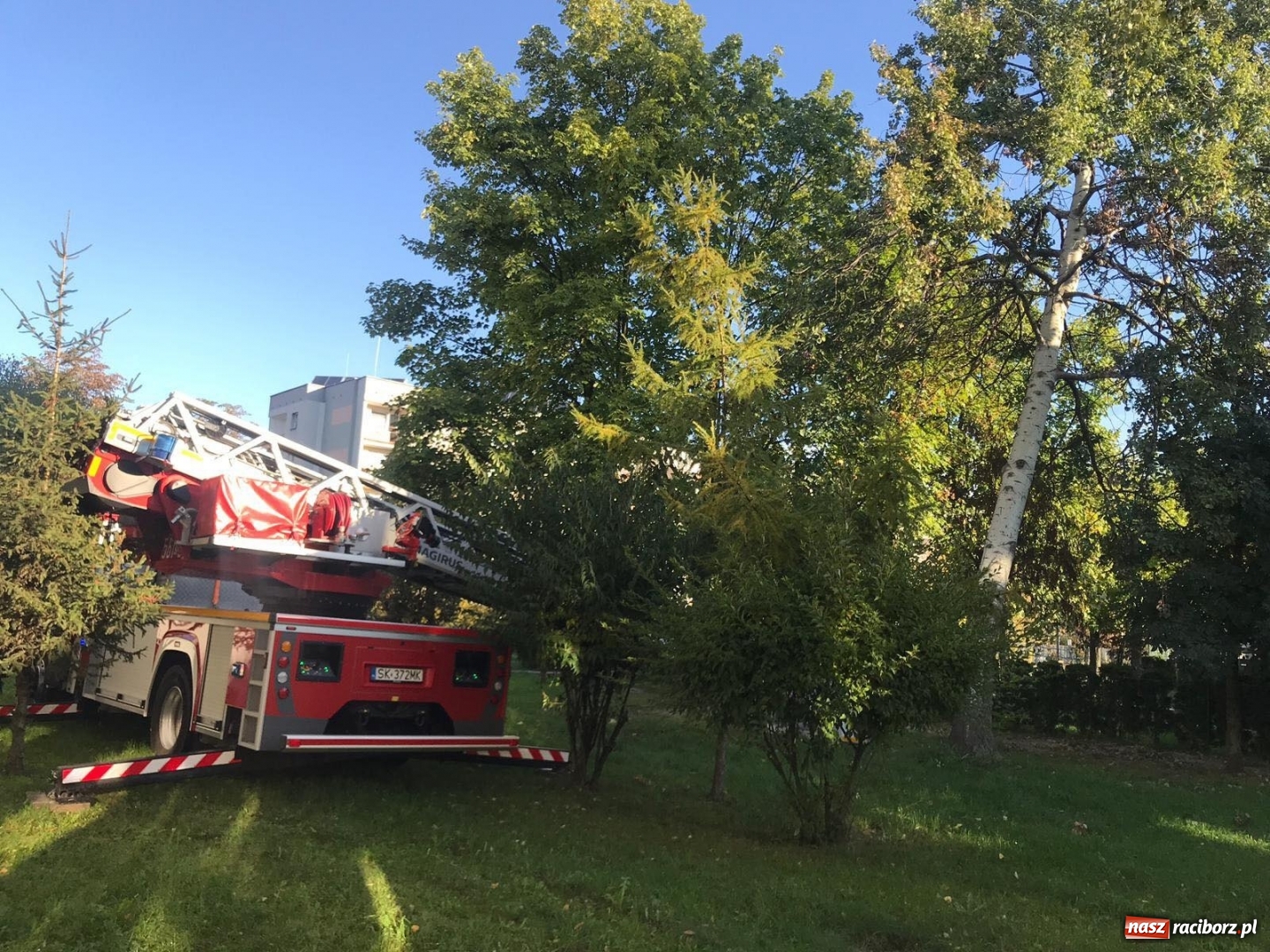 Zdjęcie w galerii na portalu naszraciborz.pl: Strażacka walka ze skutkami wichury wiadomości z regionu