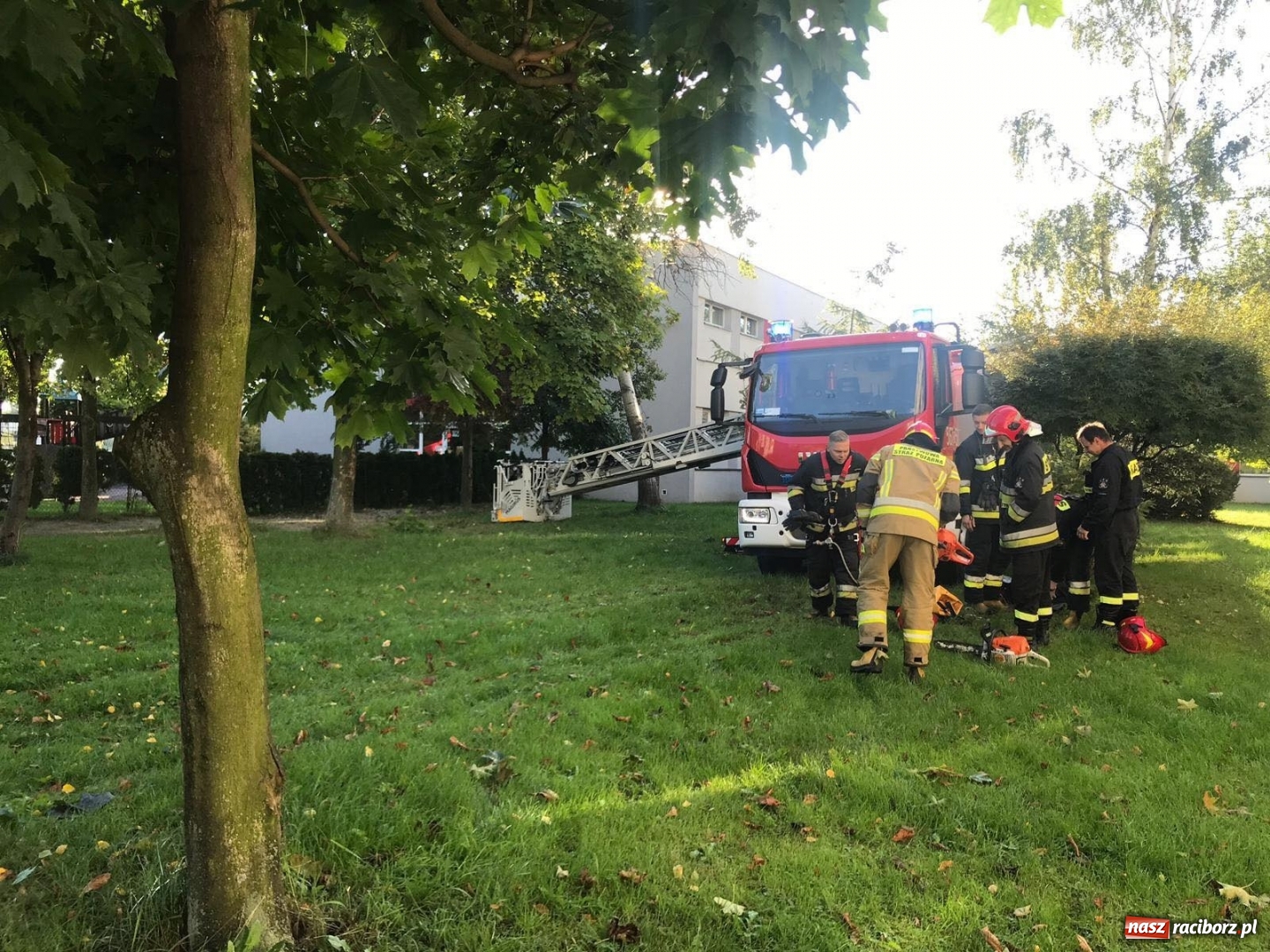 Zdjęcie w galerii na portalu naszraciborz.pl: Strażacka walka ze skutkami wichury wiadomości z regionu