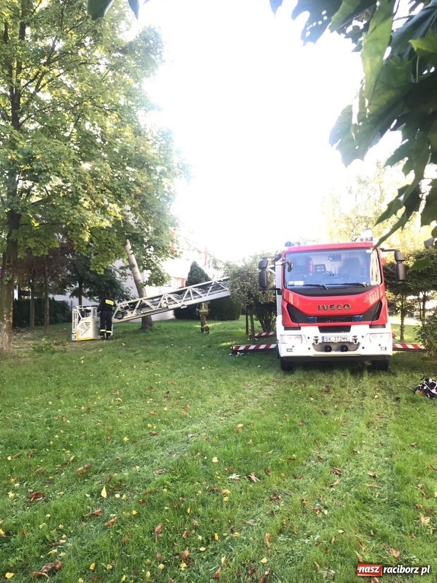 Zdjęcie w galerii na portalu naszraciborz.pl: Strażacka walka ze skutkami wichury wiadomości z regionu