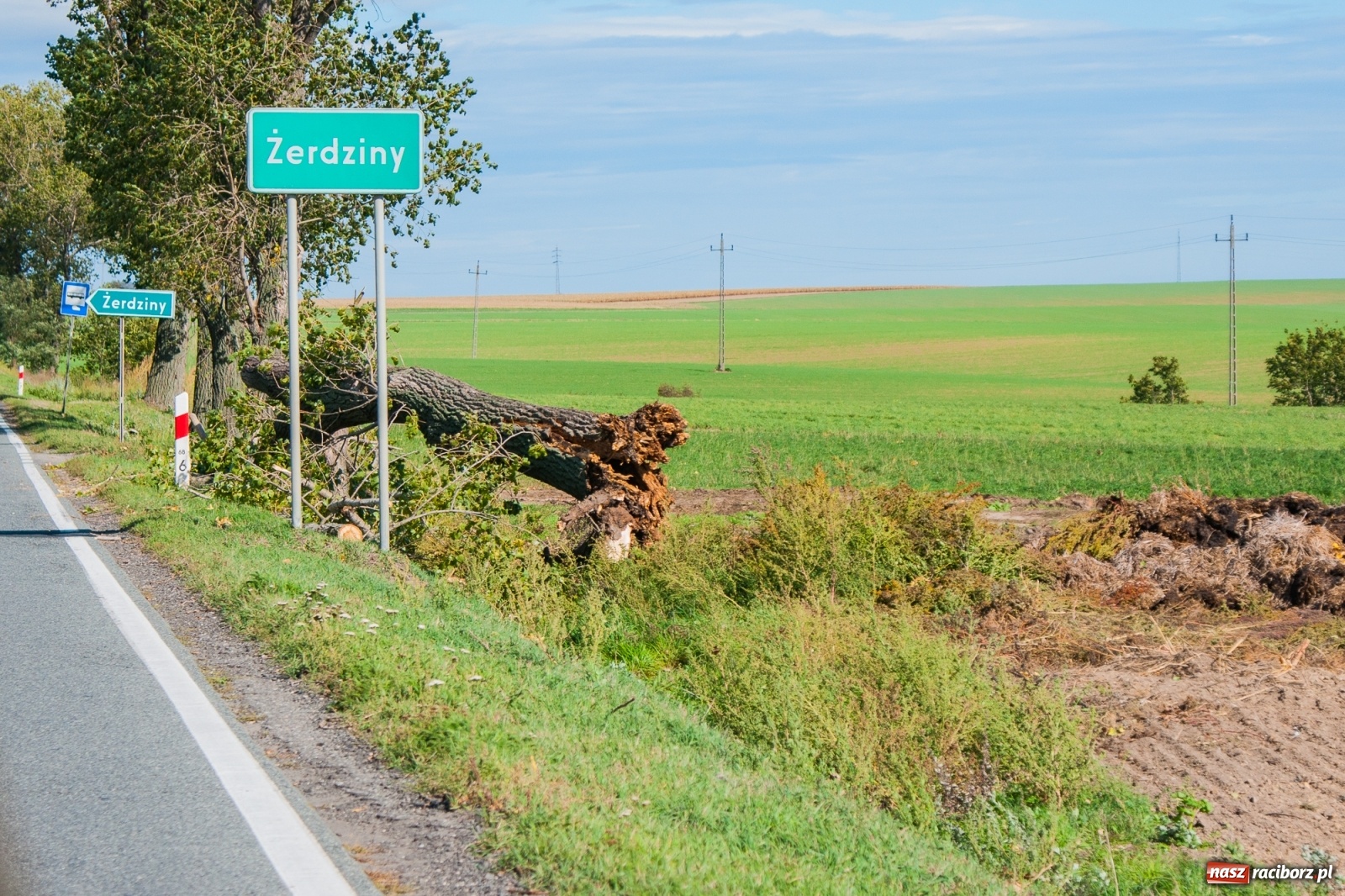Zdjęcie w galerii na portalu naszraciborz.pl: Drzewo uszkodziło autobus. Pożar samochodu w Pawłowie wiadomości z regionu