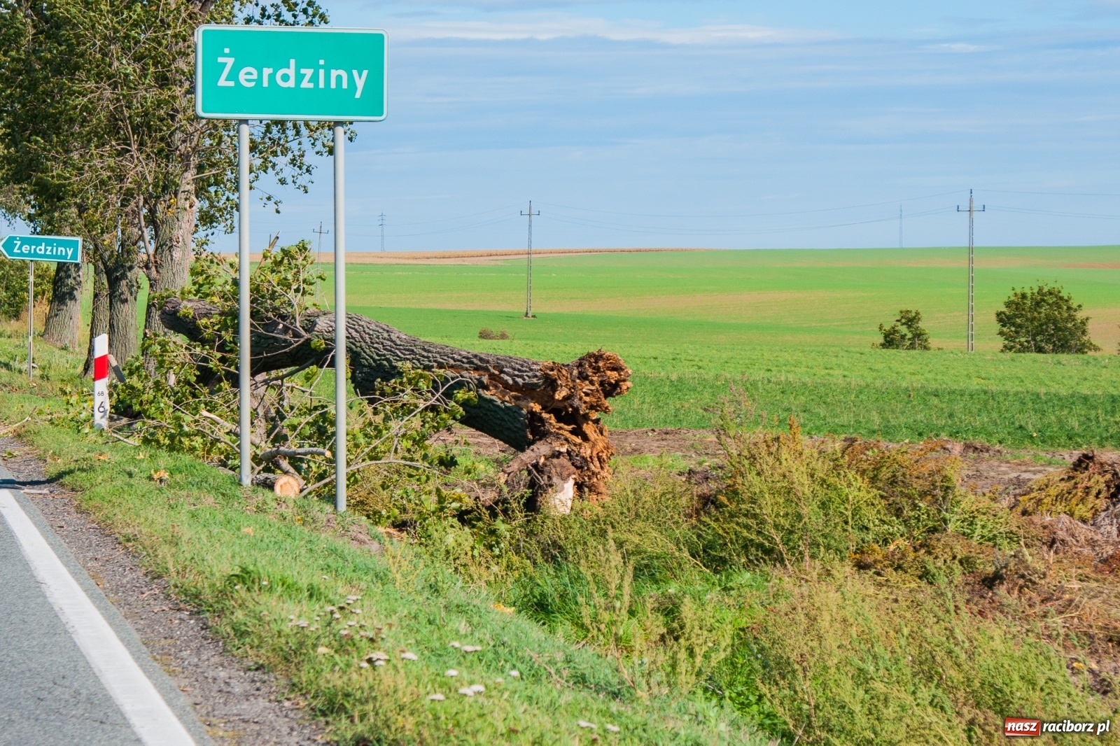Zdjęcie w galerii na portalu naszraciborz.pl: Drzewo uszkodziło autobus. Pożar samochodu w Pawłowie wiadomości z regionu