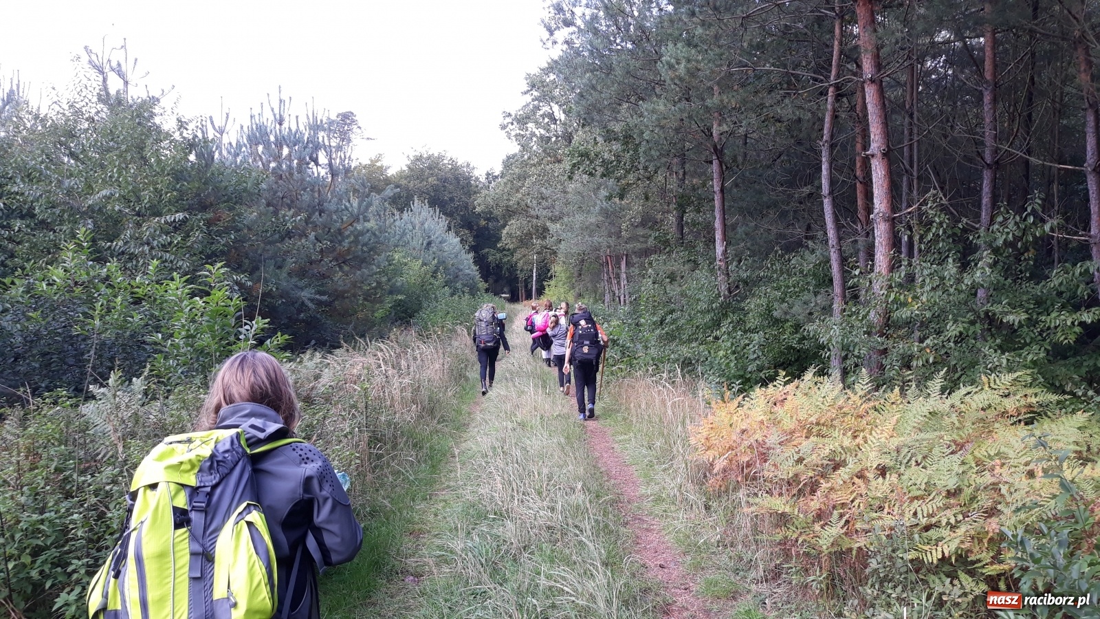 Zdjęcie w galerii na portalu naszraciborz.pl: Harcerski start. Skauci ziemi raciborskiej na jesiennym biwaku  wiadomości z regionu