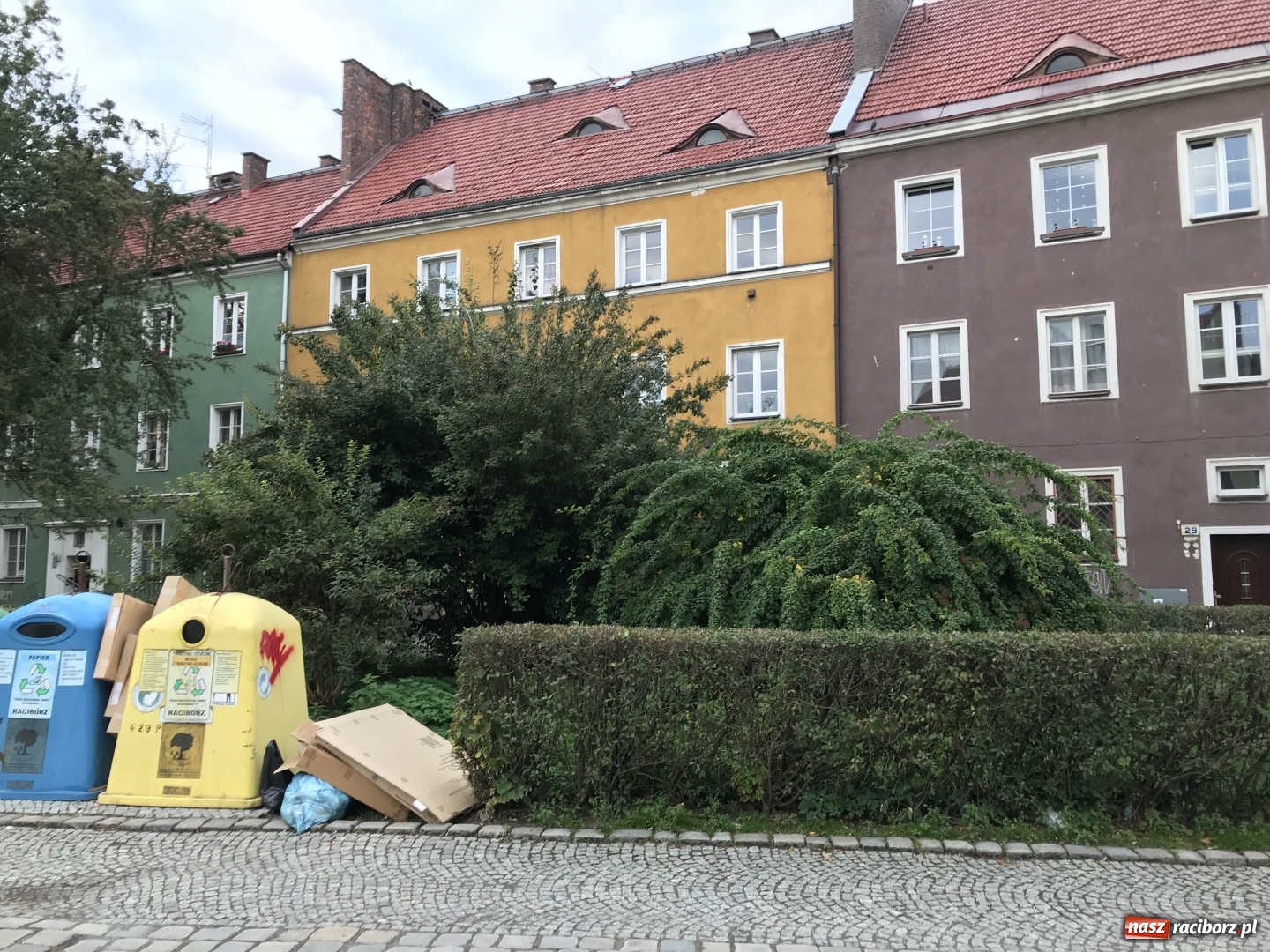 Zdjęcie w galerii na portalu naszraciborz.pl: Na skwerze przy Rzeźniczej ruszyła wycinka drzew wiadomości z regionu