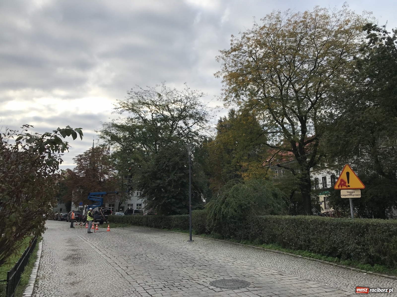 Zdjęcie w galerii na portalu naszraciborz.pl: Na skwerze przy Rzeźniczej ruszyła wycinka drzew wiadomości z regionu