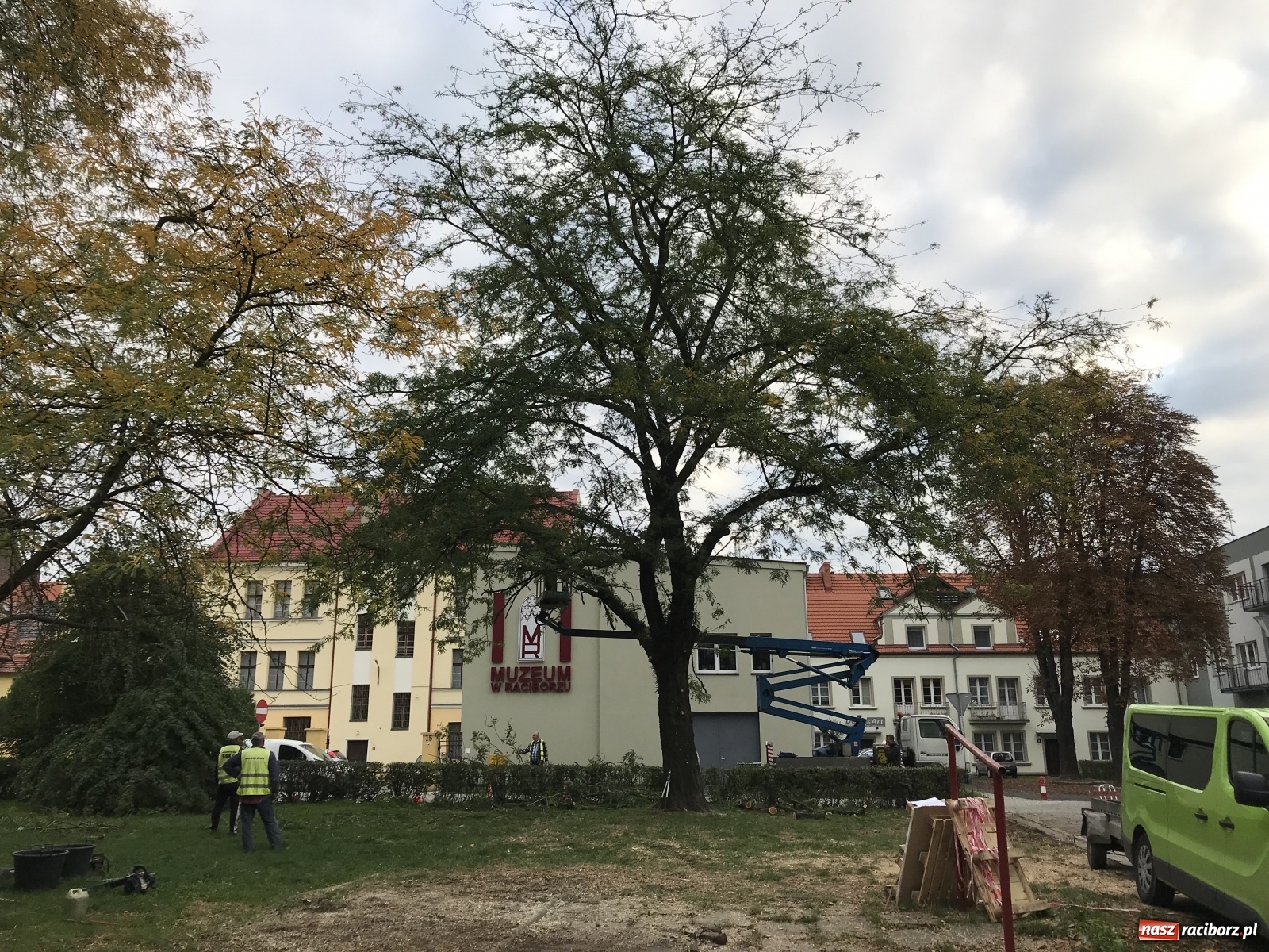 Zdjęcie w galerii na portalu naszraciborz.pl: Na skwerze przy Rzeźniczej ruszyła wycinka drzew wiadomości z regionu