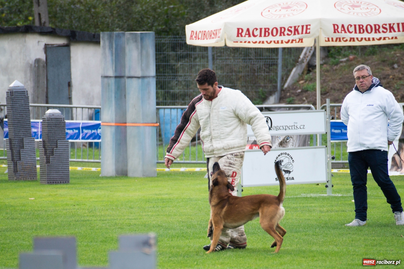 Zdjęcie w galerii na portalu naszraciborz.pl: W Nędzy trwają Mistrzostwa Świata w mondioringu wiadomości z regionu