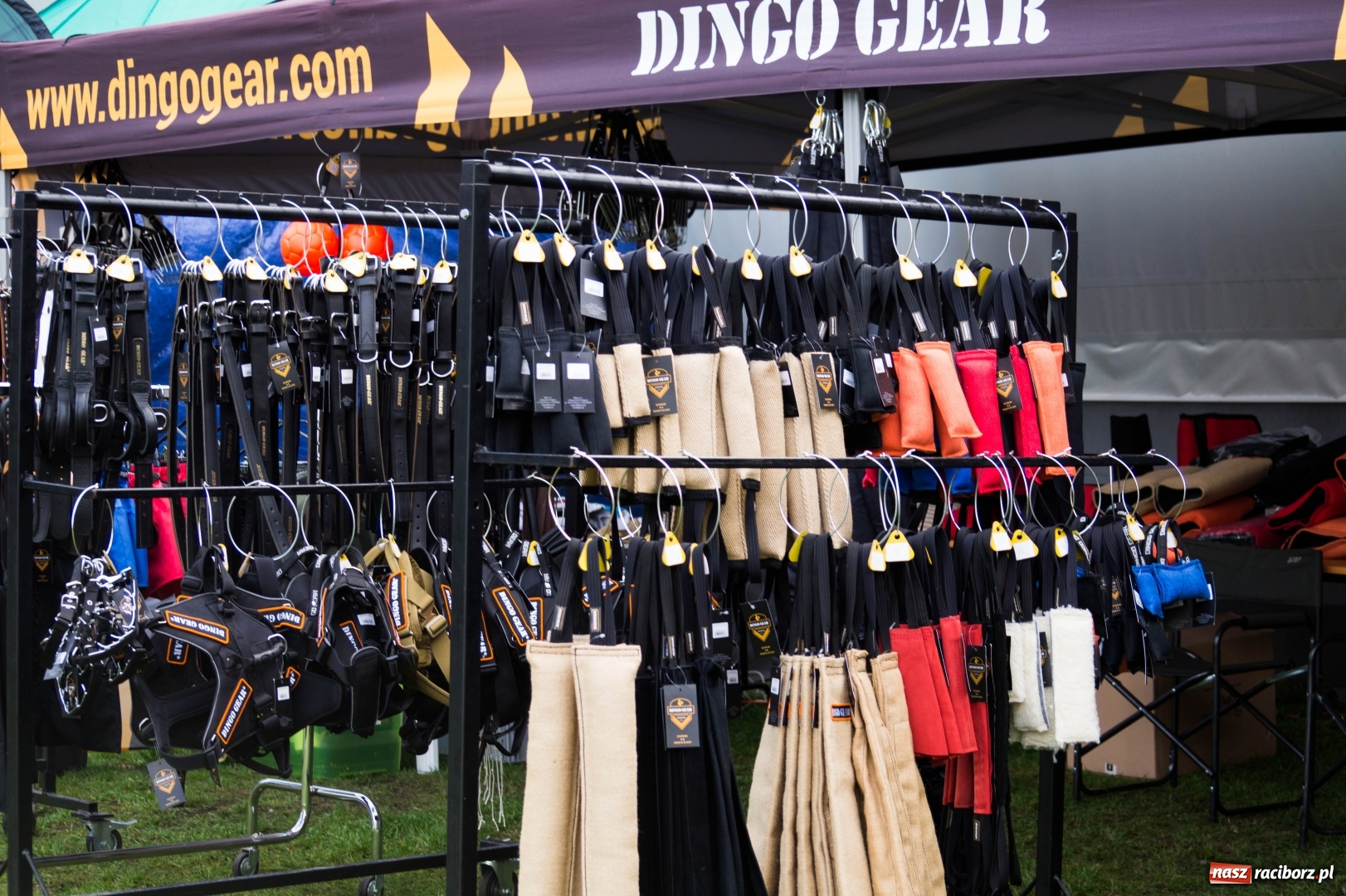 Zdjęcie w galerii na portalu naszraciborz.pl: W Nędzy trwają Mistrzostwa Świata w mondioringu wiadomości z regionu