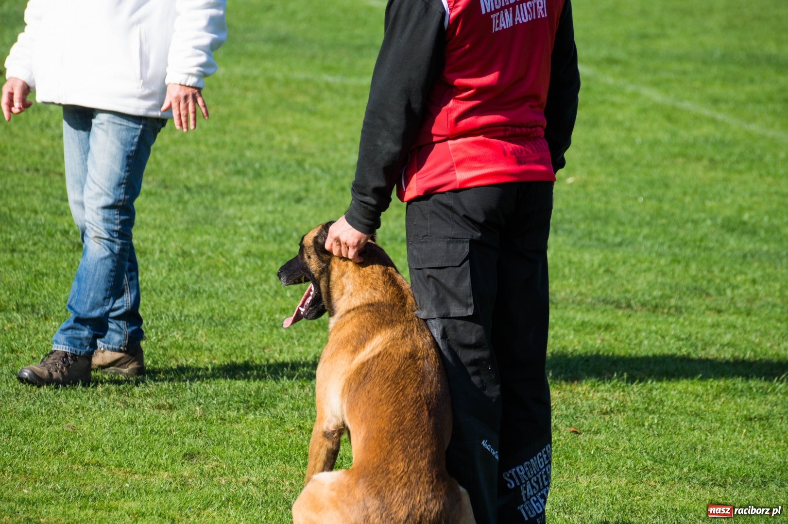 Zdjęcie w galerii na portalu naszraciborz.pl: W Nędzy trwają Mistrzostwa Świata w mondioringu wiadomości z regionu