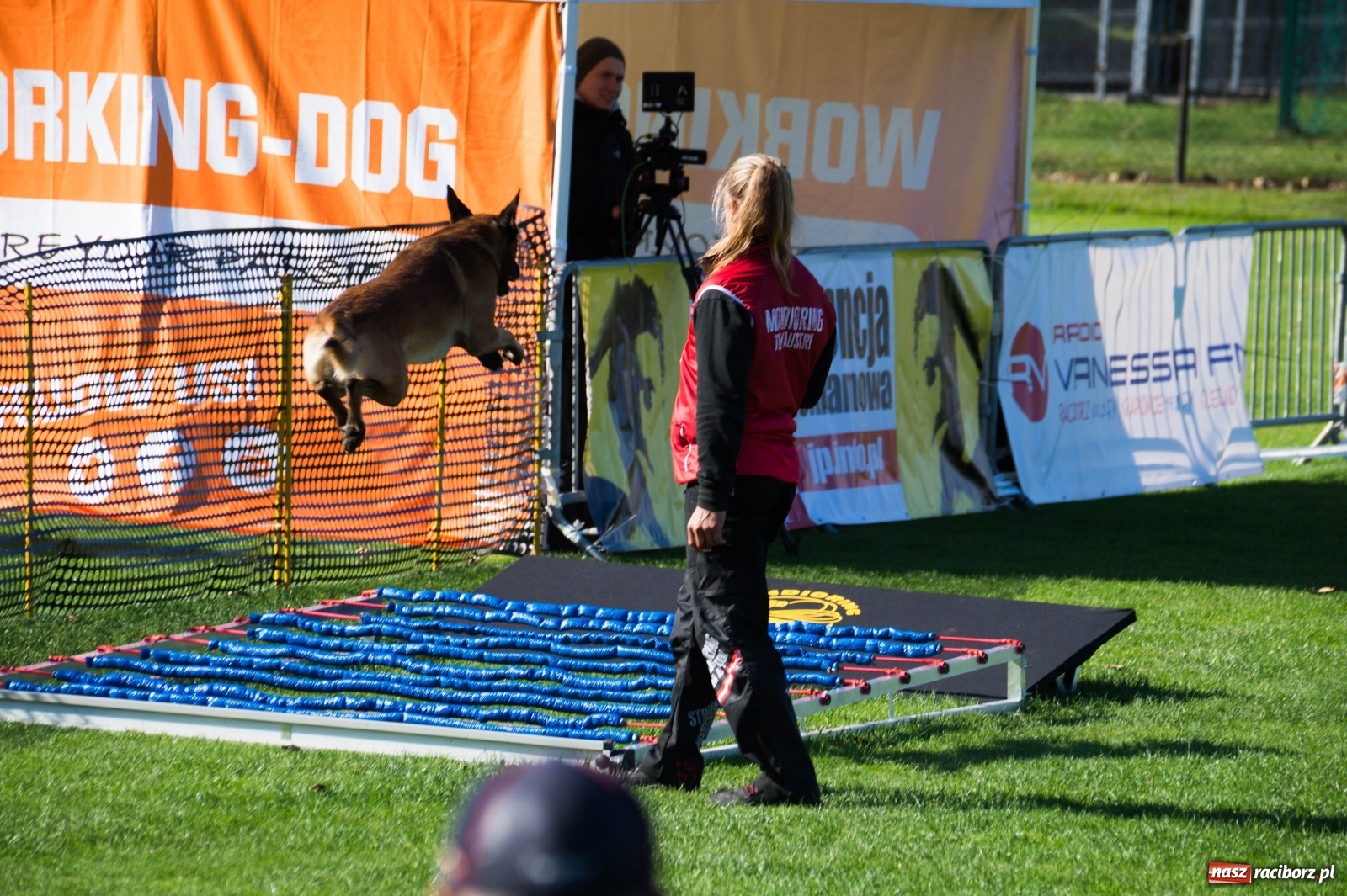 Zdjęcie w galerii na portalu naszraciborz.pl: W Nędzy trwają Mistrzostwa Świata w mondioringu wiadomości z regionu