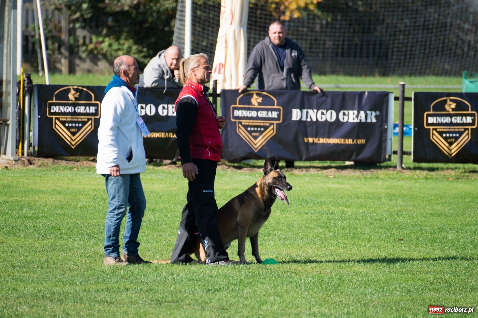 Zdjęcie w galerii na portalu naszraciborz.pl: W Nędzy trwają Mistrzostwa Świata w mondioringu wiadomości z regionu