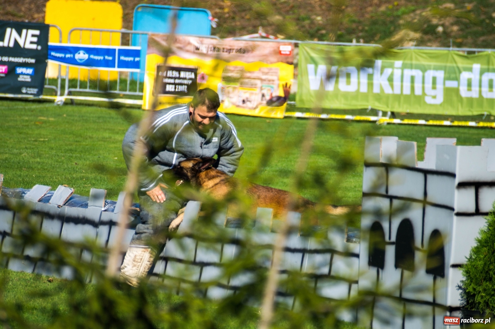 Zdjęcie w galerii na portalu naszraciborz.pl: W Nędzy trwają Mistrzostwa Świata w mondioringu wiadomości z regionu