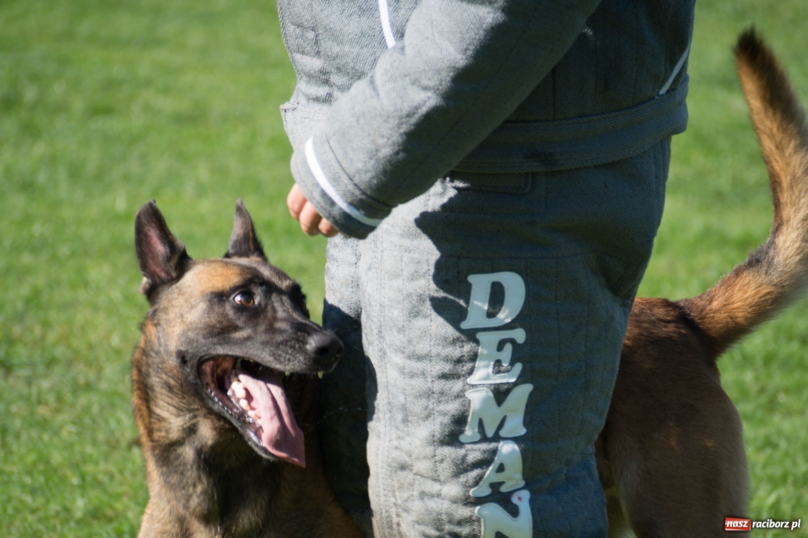 Zdjęcie w galerii na portalu naszraciborz.pl: W Nędzy trwają Mistrzostwa Świata w mondioringu wiadomości z regionu