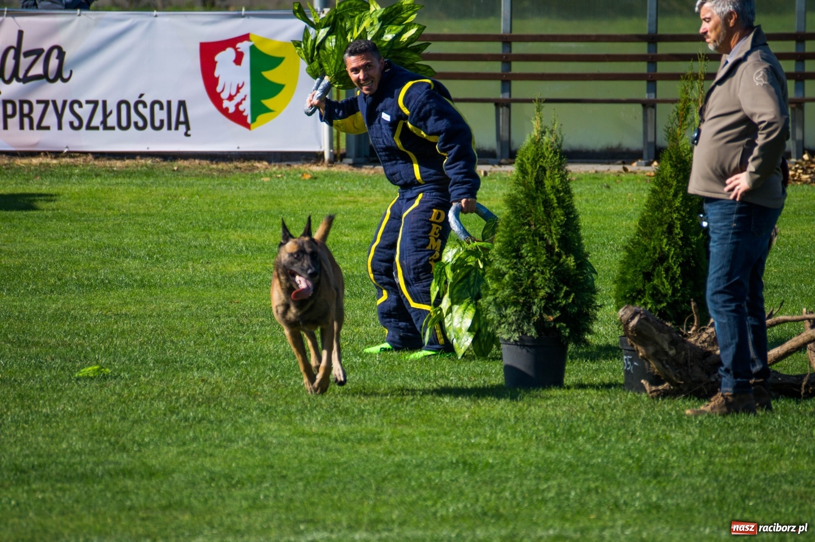 Zdjęcie w galerii na portalu naszraciborz.pl: W Nędzy trwają Mistrzostwa Świata w mondioringu wiadomości z regionu