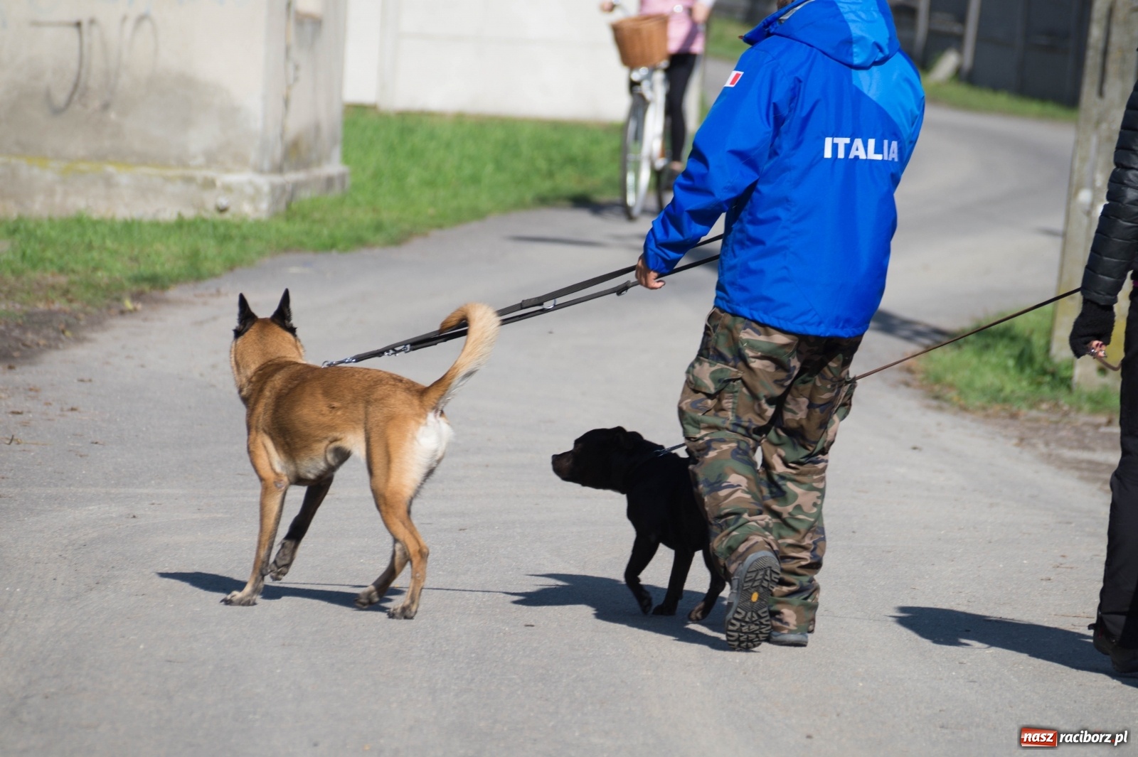 Zdjęcie w galerii na portalu naszraciborz.pl: W Nędzy trwają Mistrzostwa Świata w mondioringu wiadomości z regionu
