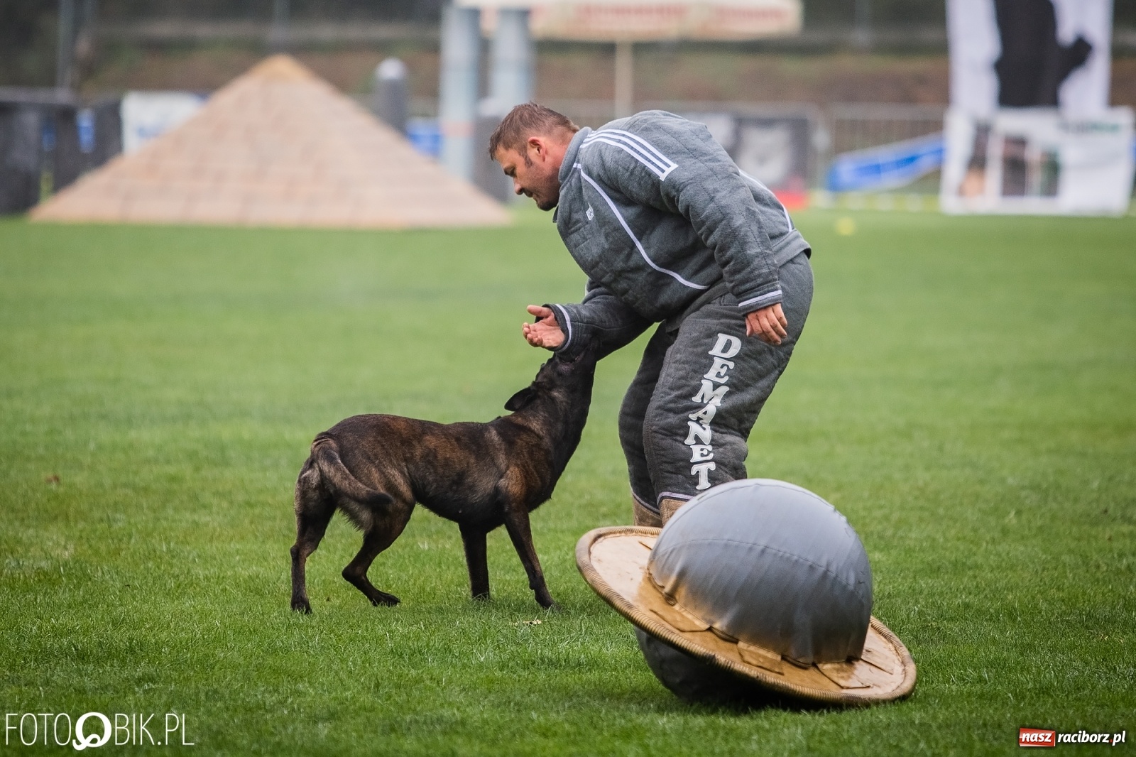 Zdjęcie w galerii na portalu naszraciborz.pl: Mistrzostwa Świata w Mondioringu w Nędzy wiadomości z regionu