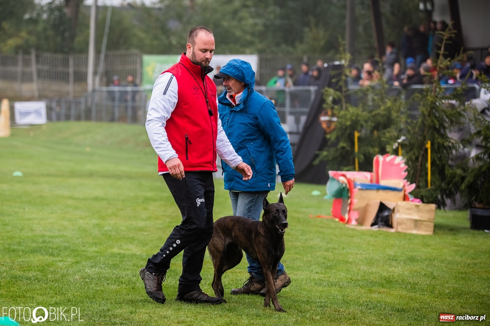 Zdjęcie w galerii na portalu naszraciborz.pl: Mistrzostwa Świata w Mondioringu w Nędzy wiadomości z regionu