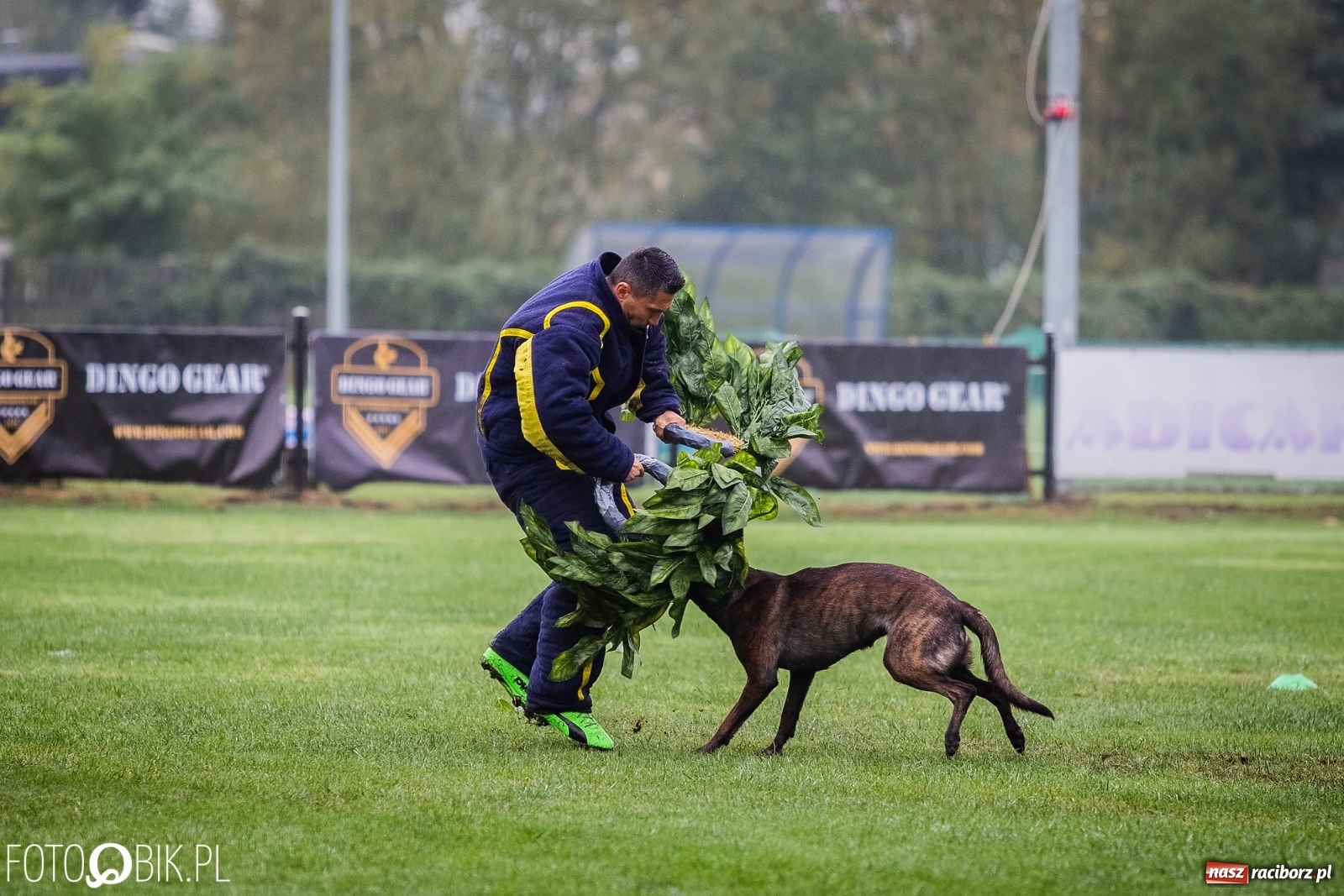 Zdjęcie w galerii na portalu naszraciborz.pl: Mistrzostwa Świata w Mondioringu w Nędzy wiadomości z regionu