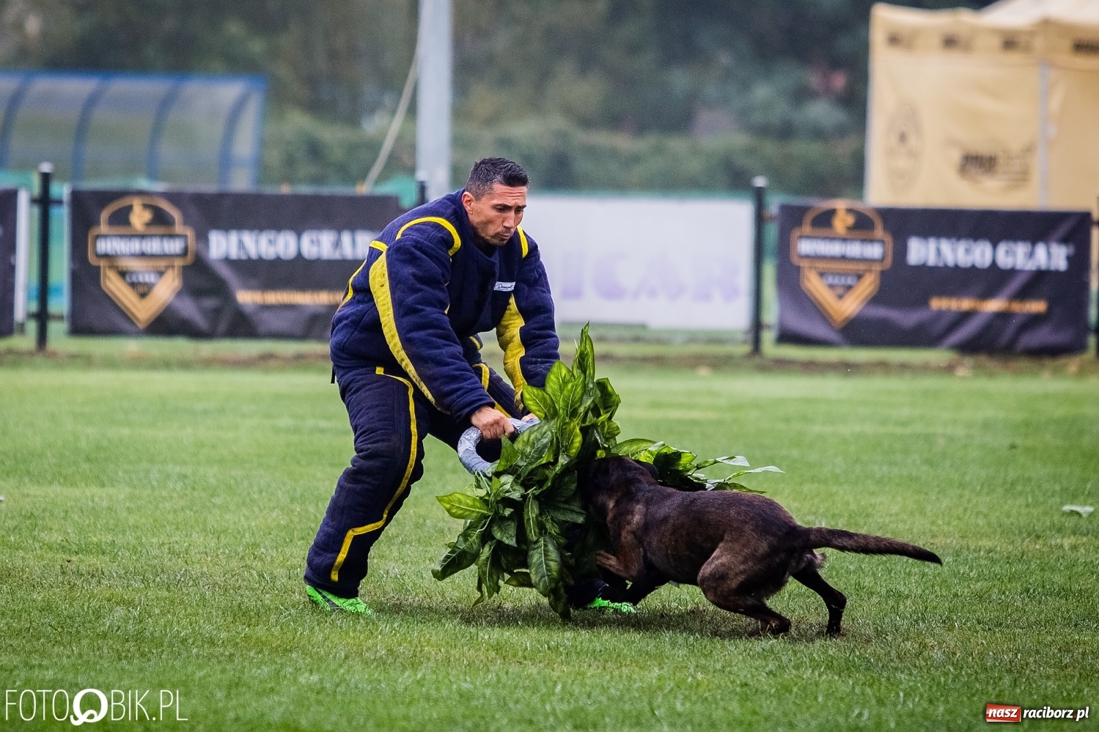 Zdjęcie w galerii na portalu naszraciborz.pl: Mistrzostwa Świata w Mondioringu w Nędzy wiadomości z regionu