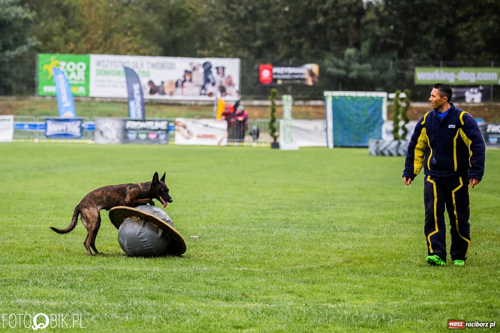 Zdjęcie w galerii na portalu naszraciborz.pl: Mistrzostwa Świata w Mondioringu w Nędzy wiadomości z regionu