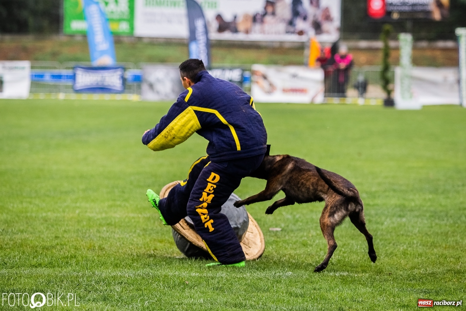 Zdjęcie w galerii na portalu naszraciborz.pl: Mistrzostwa Świata w Mondioringu w Nędzy wiadomości z regionu