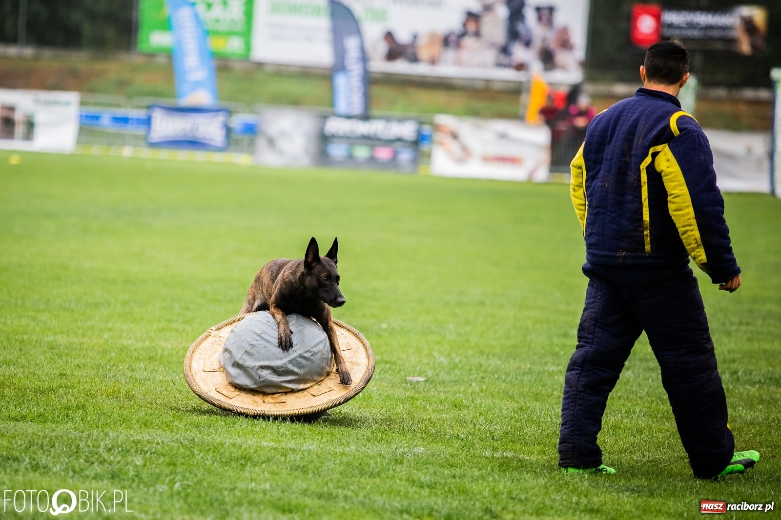 Zdjęcie w galerii na portalu naszraciborz.pl: Mistrzostwa Świata w Mondioringu w Nędzy wiadomości z regionu