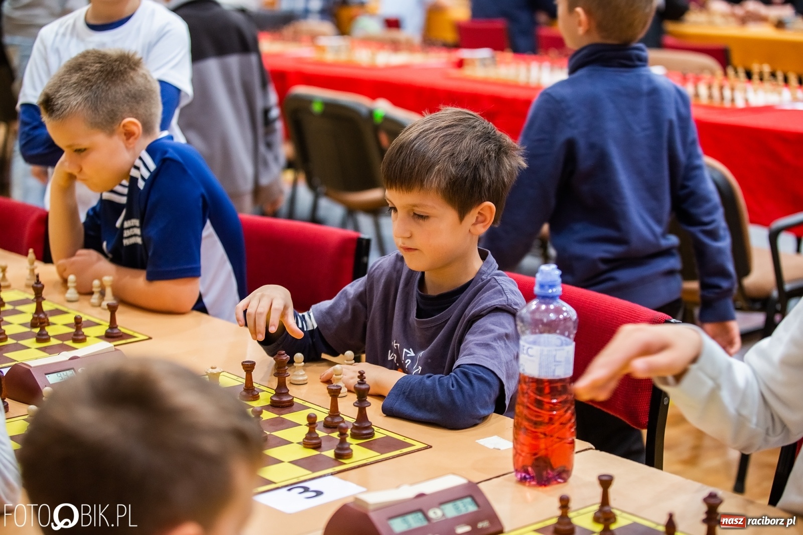 Zdjęcie w galerii na portalu naszraciborz.pl: Szachowy memoriał im. Alfreda Chrobaka w raciborskim MOS wiadomości z regionu