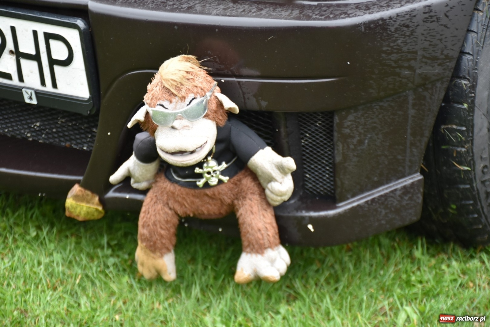 Zdjęcie w galerii na portalu naszraciborz.pl: Oldtimery w Zabełkowie [FOTO]  wiadomości z regionu