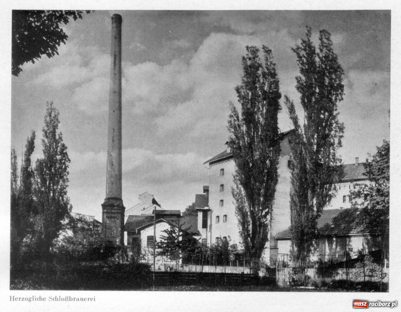 Zdjęcie w galerii na portalu naszraciborz.pl: Piękny jubileusz raciborskiego browaru  wiadomości z regionu