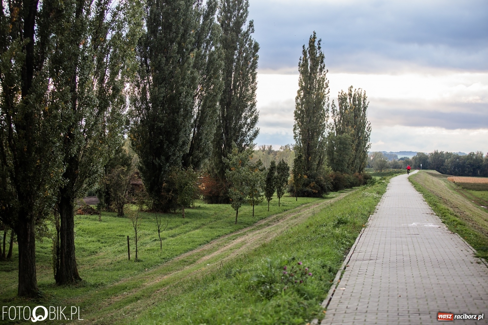 Zdjęcie w galerii na portalu naszraciborz.pl: Na żwirownię wjechał ciężki sprzęt budowlany [FOTO]  wiadomości z regionu