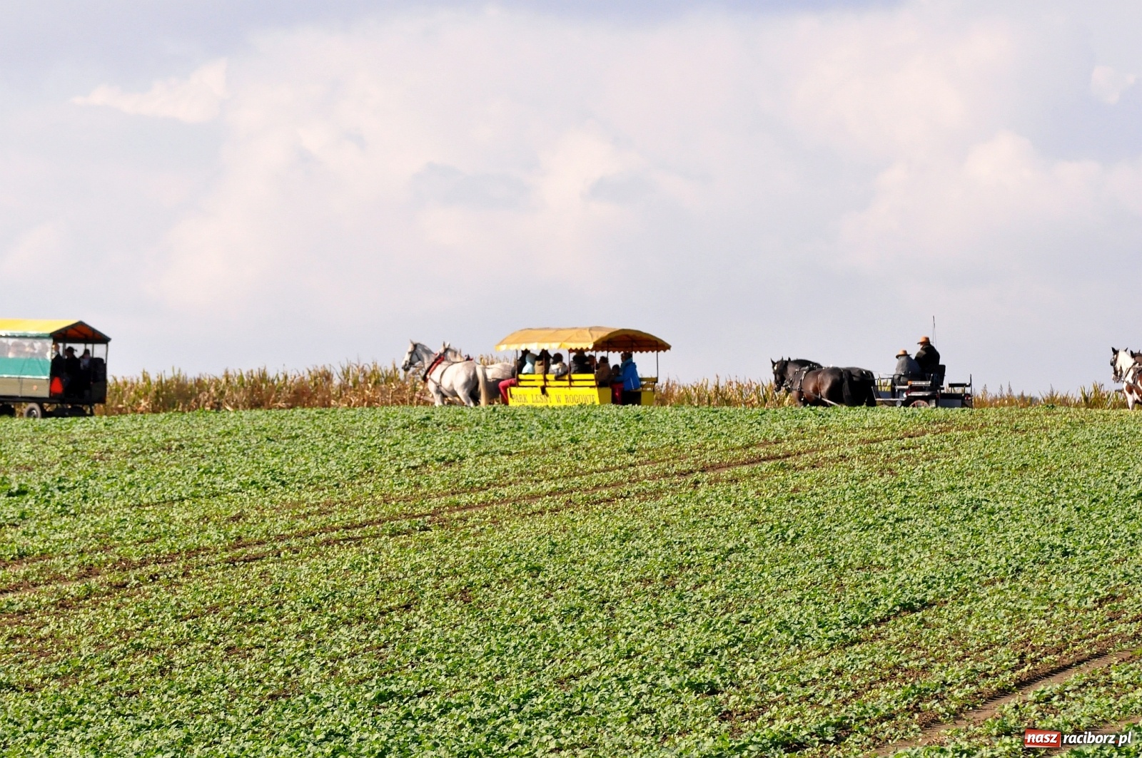 Zdjęcie w galerii na portalu naszraciborz.pl: W Łańcach na Hubertusie dwa razy gonili lisa [FOTO i WIDEO]  wiadomości z regionu