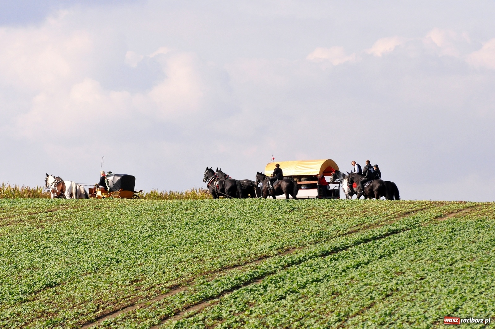 Zdjęcie w galerii na portalu naszraciborz.pl: W Łańcach na Hubertusie dwa razy gonili lisa [FOTO i WIDEO]  wiadomości z regionu