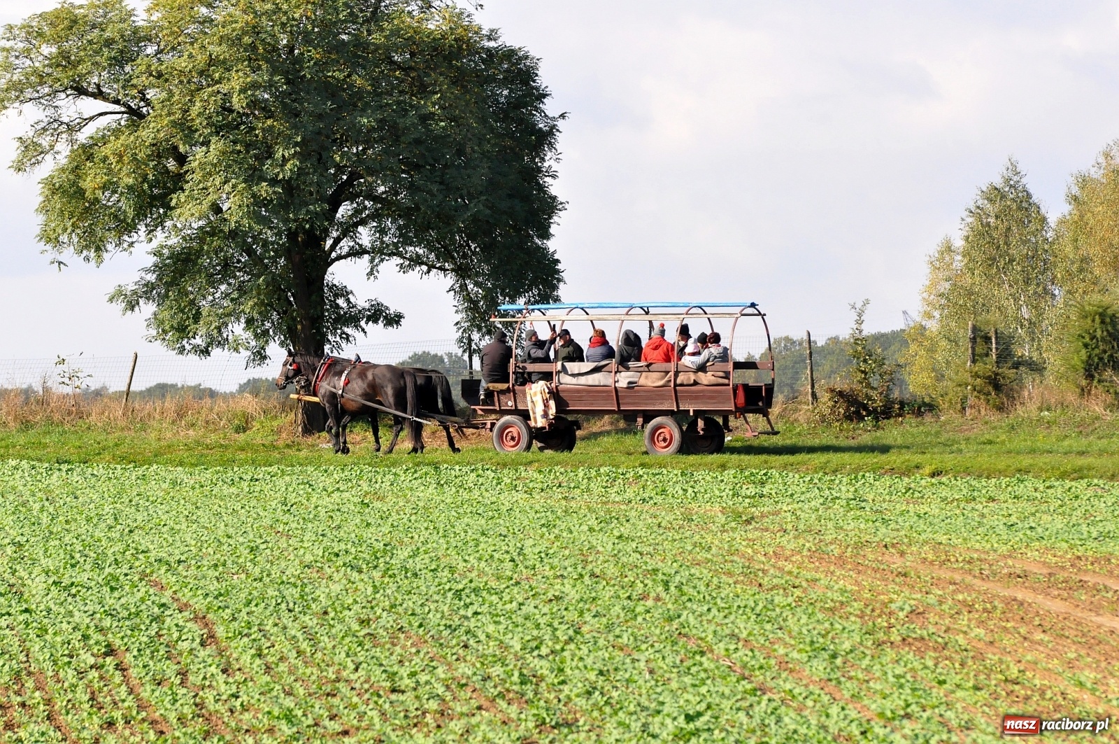 Zdjęcie w galerii na portalu naszraciborz.pl: W Łańcach na Hubertusie dwa razy gonili lisa [FOTO i WIDEO]  wiadomości z regionu