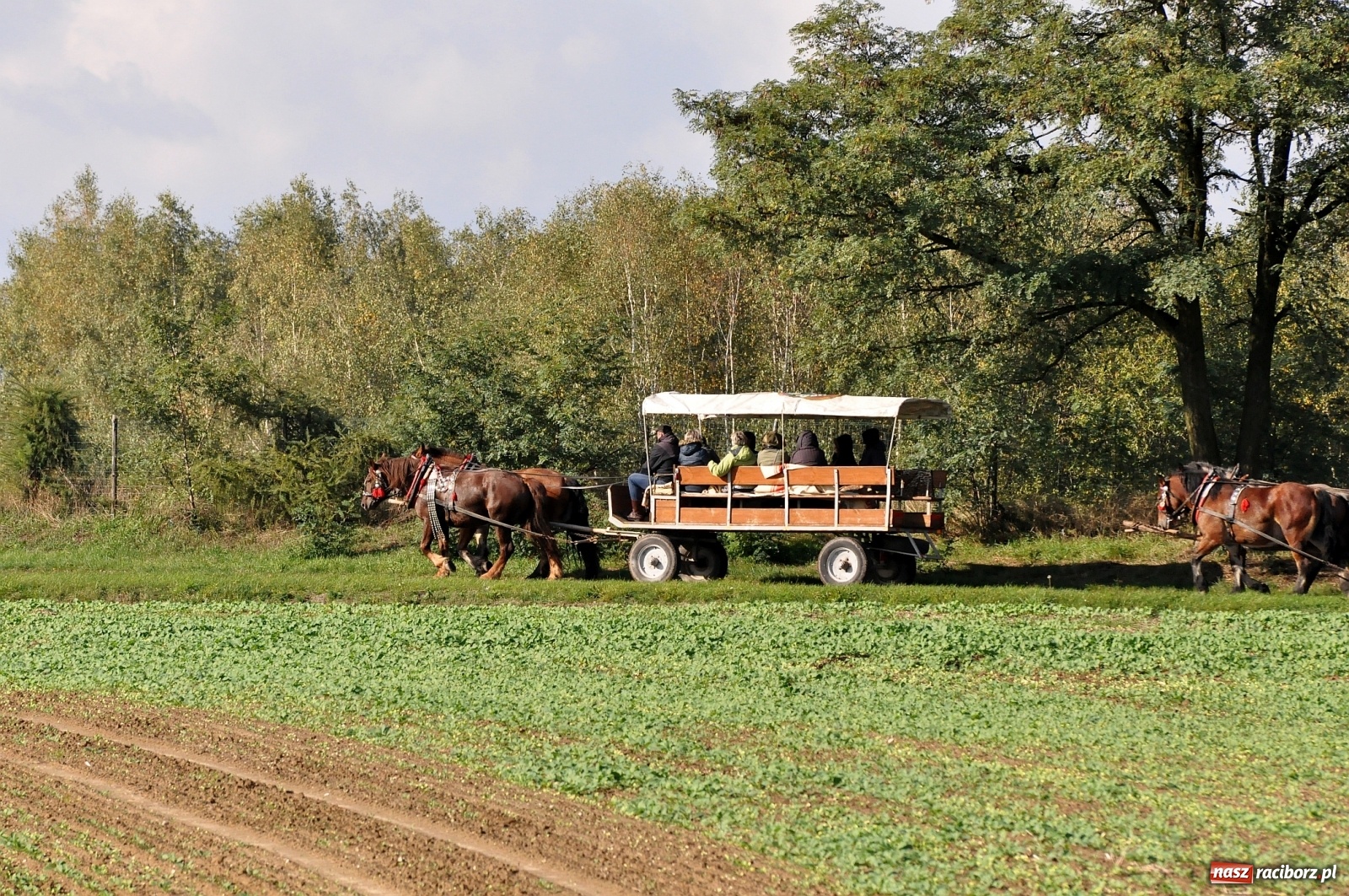 Zdjęcie w galerii na portalu naszraciborz.pl: W Łańcach na Hubertusie dwa razy gonili lisa [FOTO i WIDEO]  wiadomości z regionu