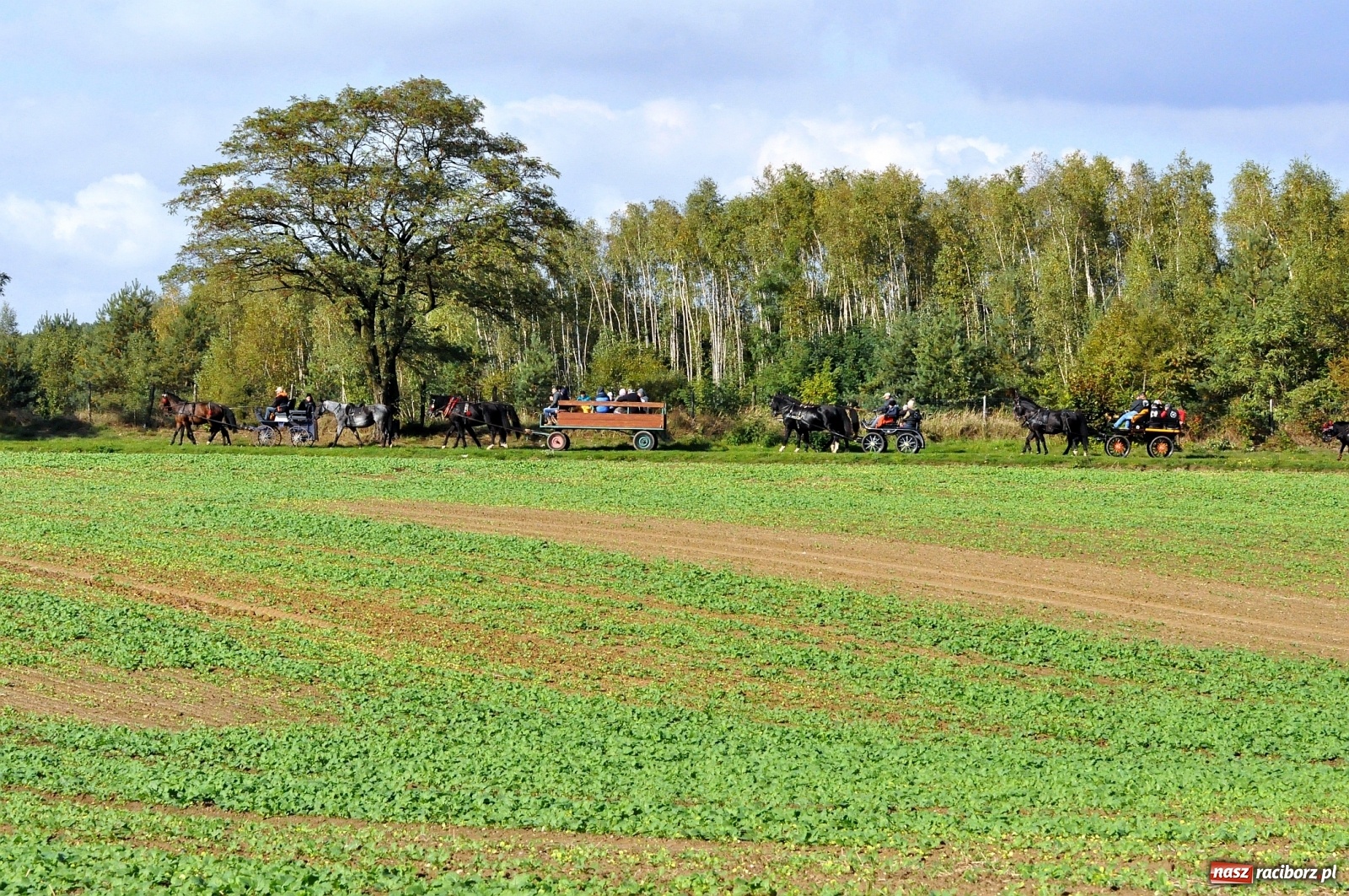 Zdjęcie w galerii na portalu naszraciborz.pl: W Łańcach na Hubertusie dwa razy gonili lisa [FOTO i WIDEO]  wiadomości z regionu